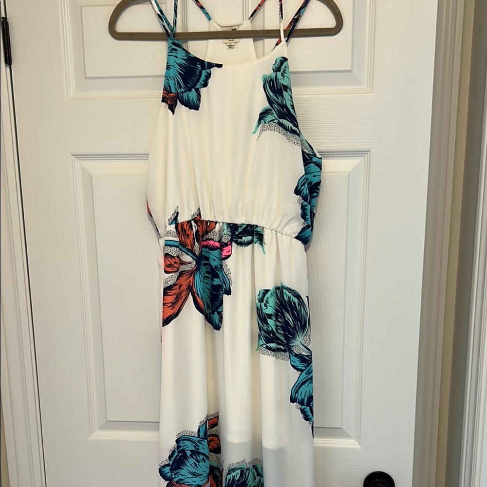 Pink Owl Blue Floral Maxi Dress